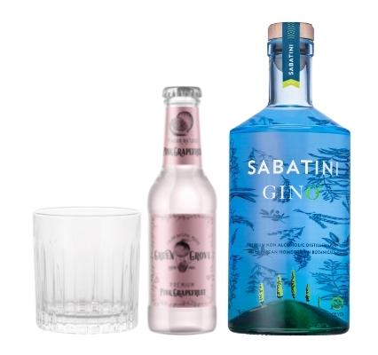 sabatini gino palogino