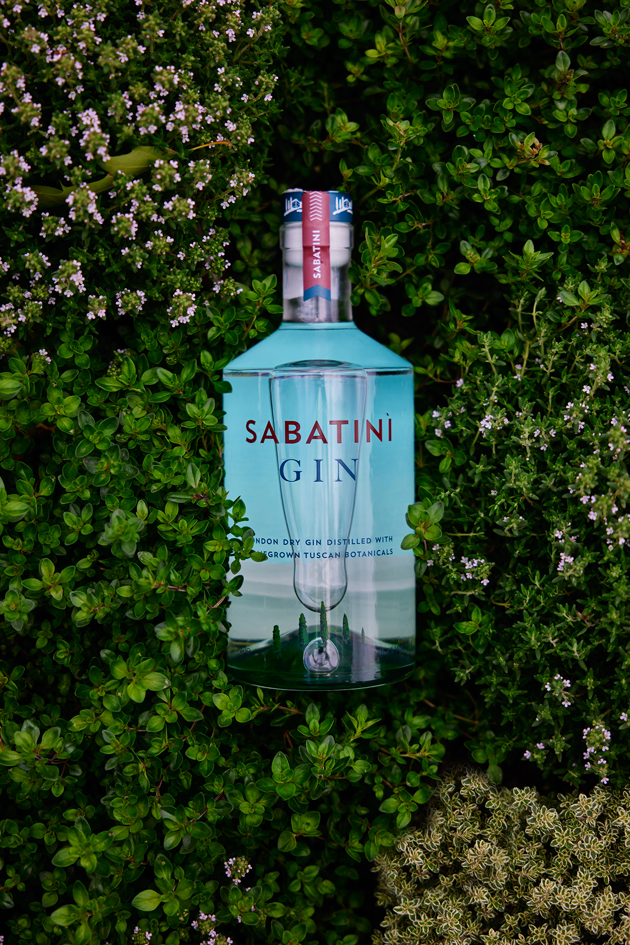 Sabatini Gin